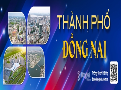 DE AN DONG NAI LEN TP